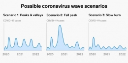 Skenario Perkembangan Pandemi Covid-19 (bussinessinsider.com)