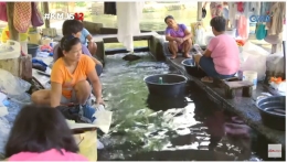Buruh cuci di Laguna. Sumber: GMA TV