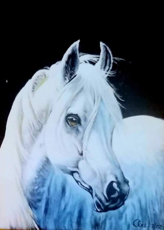 Dokumentasi pribadi. Si kuda putih pertama dan kedua, yang dilukis diatas kanvas hitam, terbingkai dengan warna emas, benar2 terlihat sangatg gagah dan mewah!