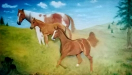 Dokumentasi pribadi | Keluarga kuda di padang rumput hijau yang luas dan damai