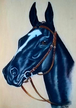 Dokumentasi pribadi | Lukisan kepala kuda hitam, dengan matanya yang sangat "hidup" .....