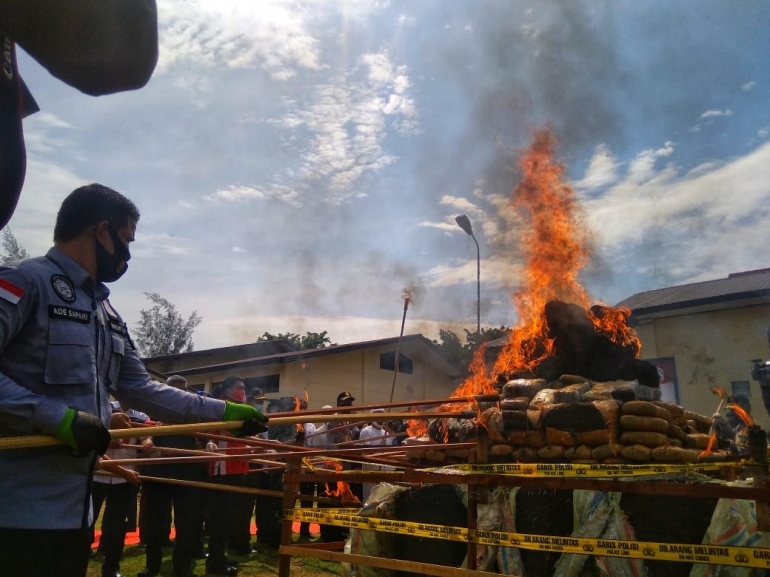 Teks Foto : pemusnahan ganja | dok. Komar