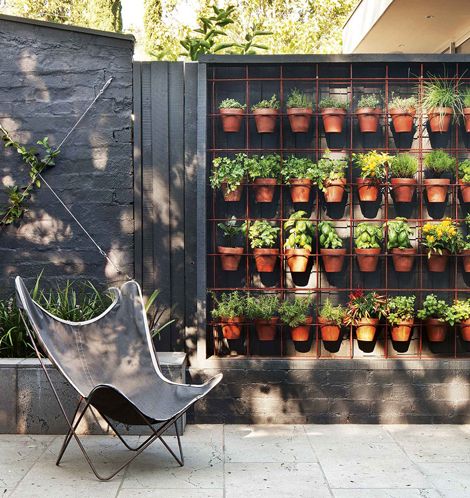 Tidak Ada Lahan Dinding  pun Jadi Halaman  1 Kompasiana com Tidak Ada Lahan Dinding  pun Jadi Halaman  1 Kompasiana com