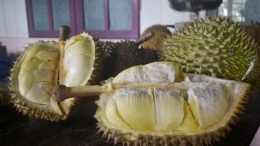 Durian Montong, sumber:https://www.liputan6.com