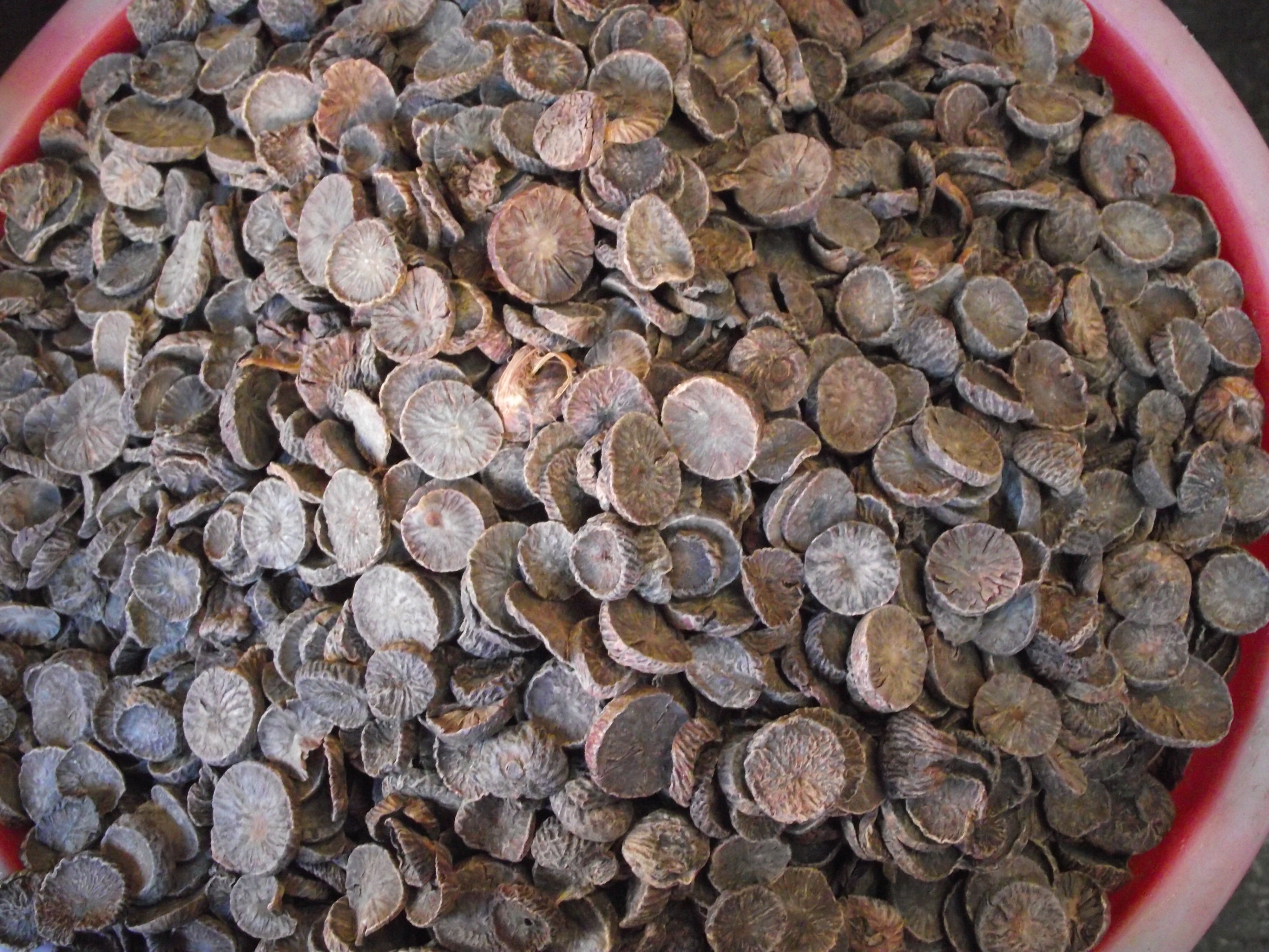 Konsumsi pinang yang tinggi di Papua Barat membuat pisang masuk dari daerah lain (Gambar: Marahalim Siagian)