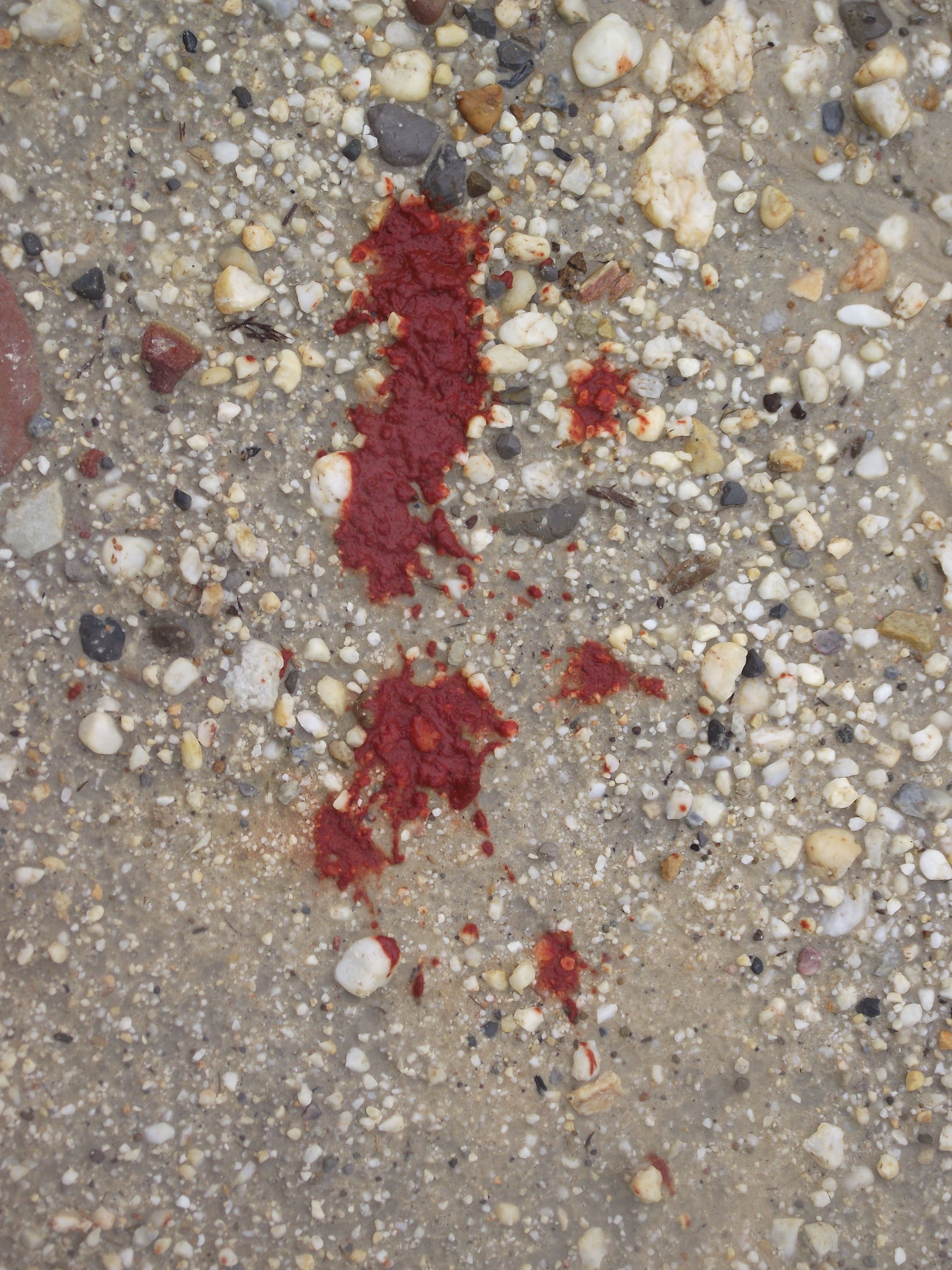 Pemandangan seperti ini juga biasa terliht di area parkir bandara (Marahalim Siagian)