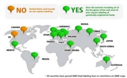 hijau berarti wajibkan label GMO - dvo.com