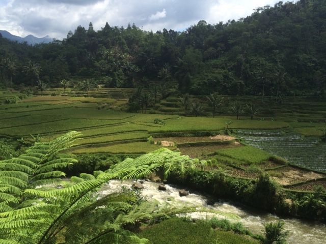 Bentangan alam Sunda yang lekat dengan gambaran visual Tanah yang Dijanjikan