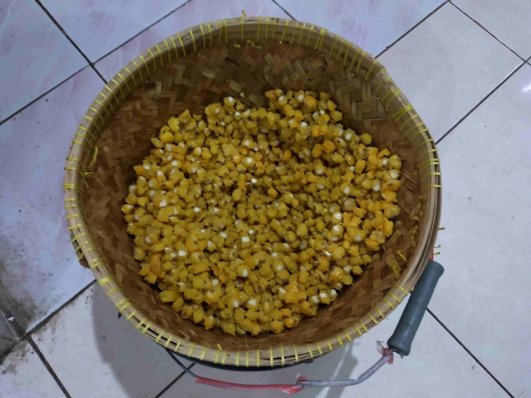 Biji-bijian jagung yang telah direbus, matang. Dokpri