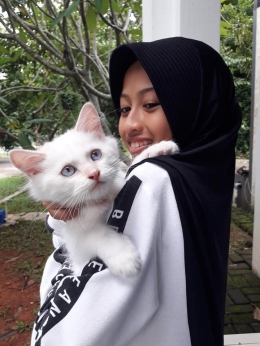 Lili kucing persia putih bermata biru/dokpri