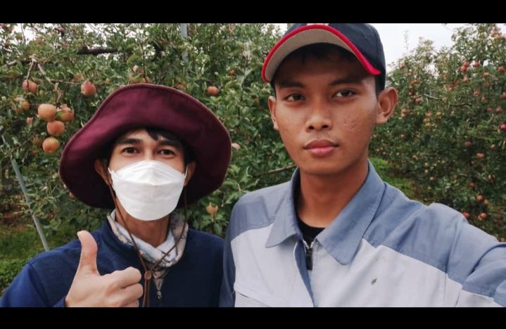 Mas Pur bersama Azhari di kebun Apel