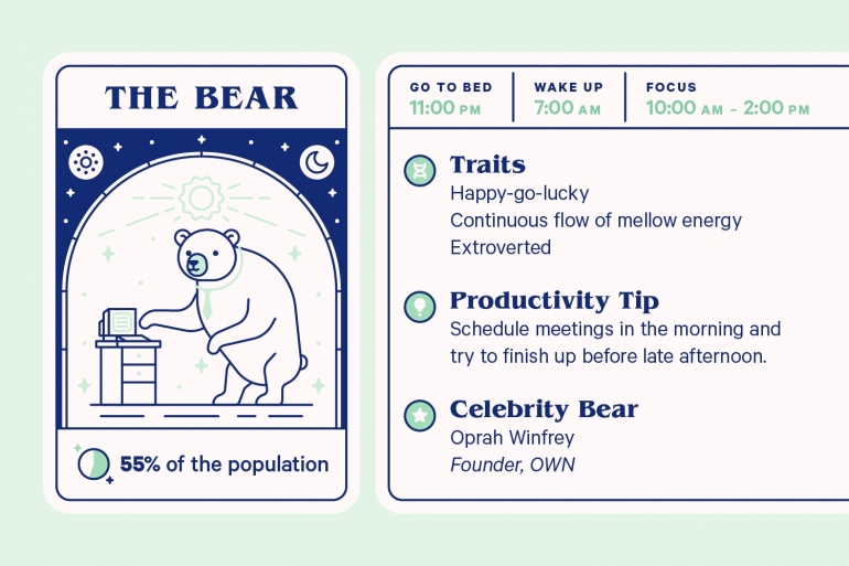 The Bear Chronotype (sumber: casper.com)