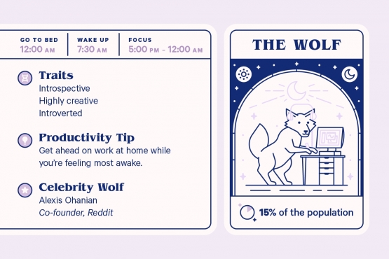 The Wolf Chronotype (casper.com)