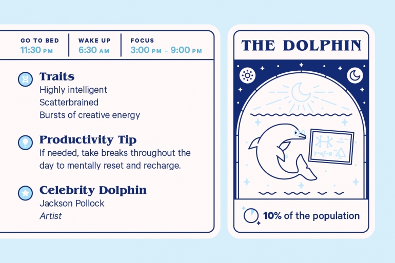 The Dolphin Chronotype (casper.com)
