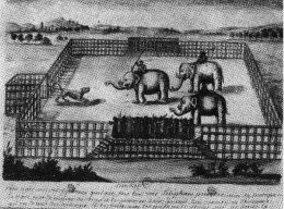 Gambar kontemporer orang Perancis mengenai arena di Ayutthaya di mana seekor harimau bertanding melawan beberapa gajah, tahun 1680-an.