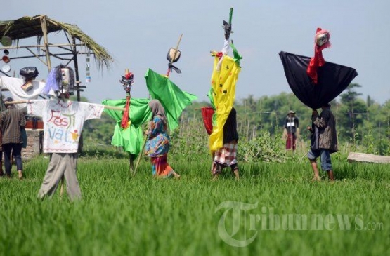 Festival Memedi Sawah (Foto:Kompas/Ferganata Indra Riatmoko)