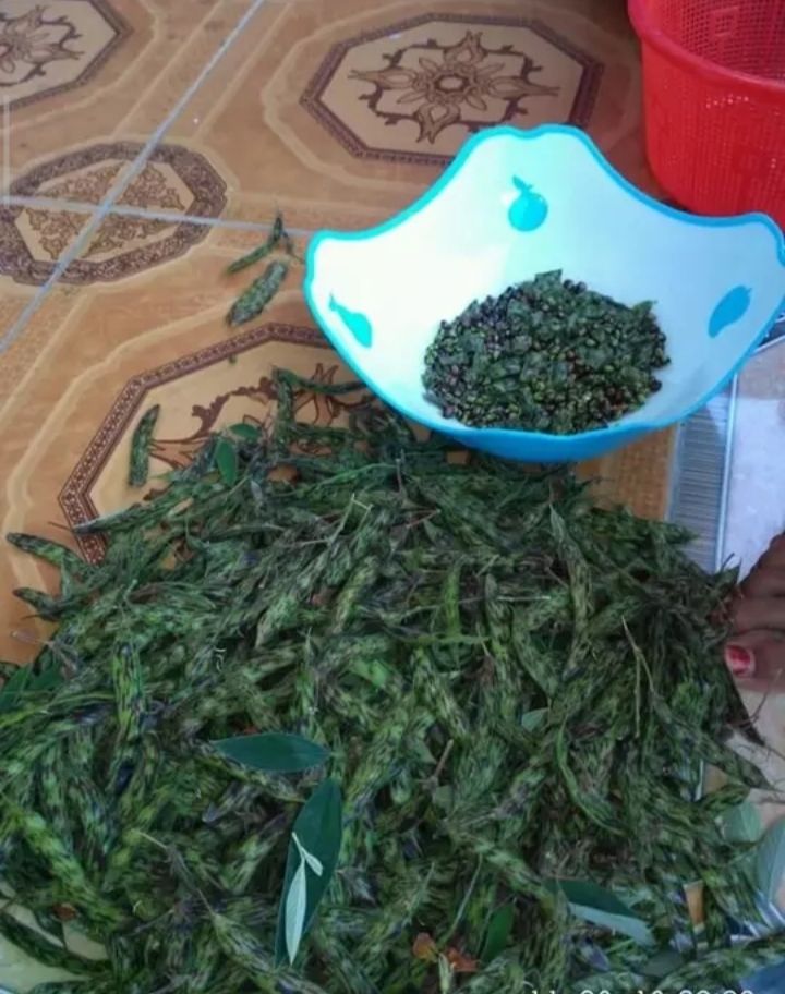 Menu Hemat Di Masa Pandemi Yuk Cobain Sambal Hiris Halaman 1 Kompasiana Com