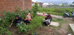 foto ibu ibu PKK RW.III kelurahan Bakalan Krajan Kota Malang tengah giat gotong royong memelihara kebun sayur urban Farming