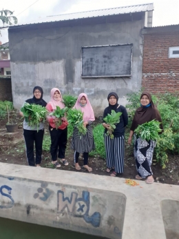 Urban Farming PKK RW.III kelurahan Bakalan Krajan Kota Malang