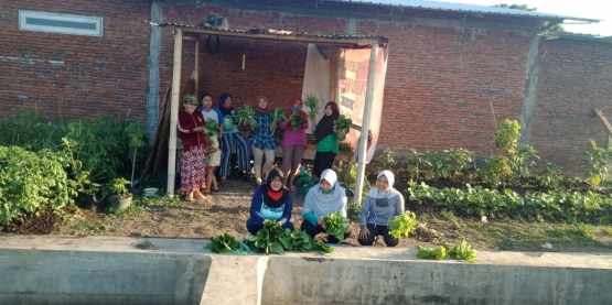 dokrpi Urban Farming RW.III Kelurahan Bakalan Krajan