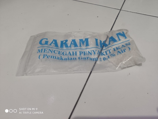 Garam Ikan, Sumber:Dokpri