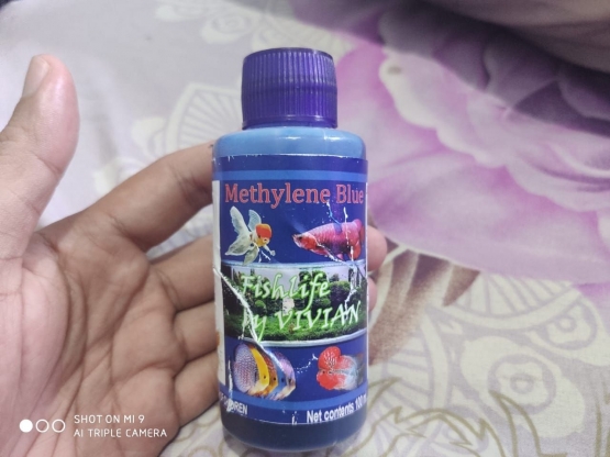 Obat Biru, Sumber:Dokpri