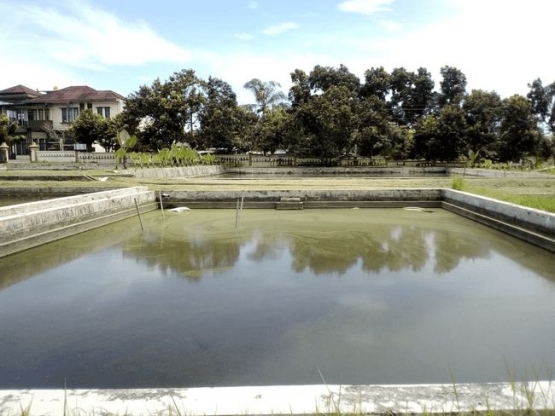 (Kolam Budidaya BPBAT Pandak yang terdeteksi mengalami eutrofikasi, dokpri 2020)
