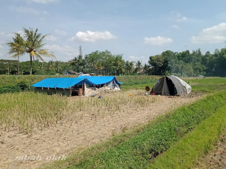 Tenda hitam adalah tenda penggembala bebek. Dokumen pribadi