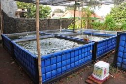 kolam bioflok-Pemkab Buleleng | bulelengkab.go.id