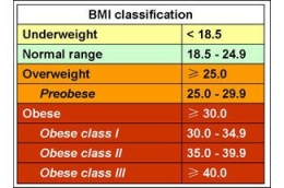Tabel BMI (www.indramuhtadi.com)