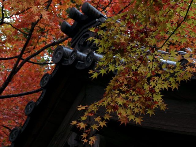 Paduan bagian bangunan yang disebut sumimune-onikazari dan daun momiji (dokpri)