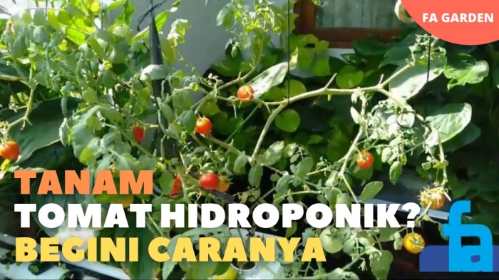 Dok: Youtube/Firman Arifin