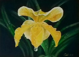 Dokumentasi pribadi. Lukisan bunga anggrek, sebagai lukisan bunga pertama ibu. Coba lihat, torehan kuasnya, membuat air yang ada di bunga Anggrek itu, sangat  "hidup". Dalam bingkai dan kanvas sekitar40 cm x 30 cm.