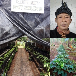 Gambar. Kebun usaha tani yang dikelola Pak Risyanto dan kebun bibit KWT Walidah Cigunung | dokpri