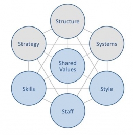 Model McKinsey 7S Framework (qnerza.id)