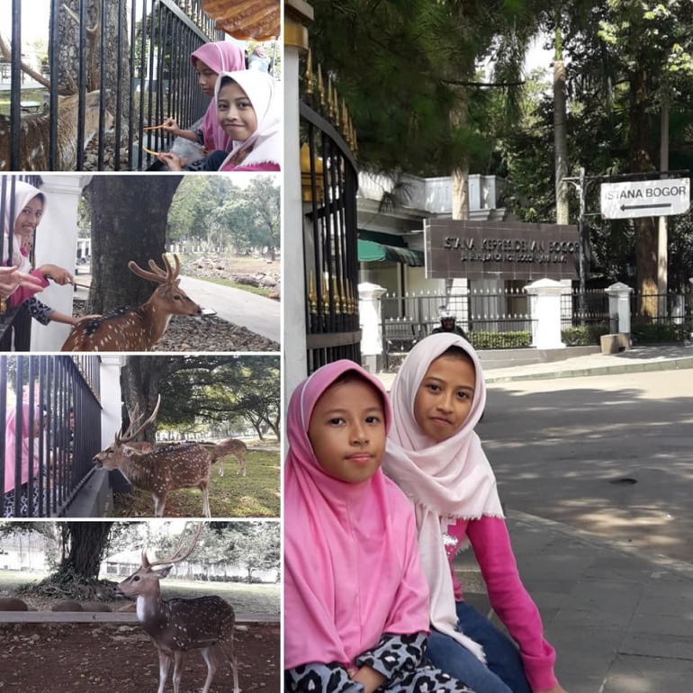 Teteh dan Neng asyik memberi makan rusa Istana Bogor