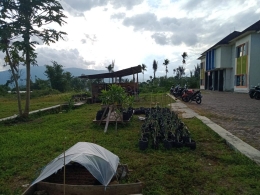 Pondok Kayu, tempat bertanam ide dengan berkumpul (Dokpri)