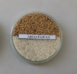 Gambar 2. Penampakan gabah dan beras Var. Agro Pawan (Sumber: Distanak Kab.Ketapang)