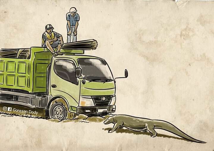 Seekor komodo jantan berhadap-hadapan dengan sebuah truk yang sedang melintas dilokasi proyek di Pulau Rinca (gambar Facebook Goresan Dody)