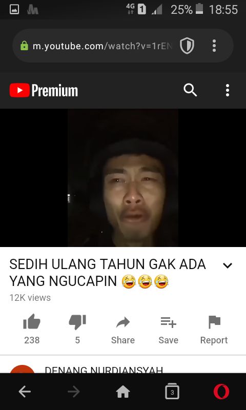 Tangkap layar video dari Denang Nurdiansyah/youtube