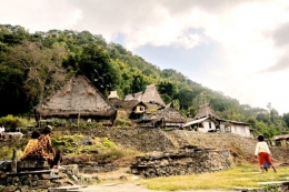 Ilustrasi desa asli di Ende, Flores (Foto: mongabay.co.id)