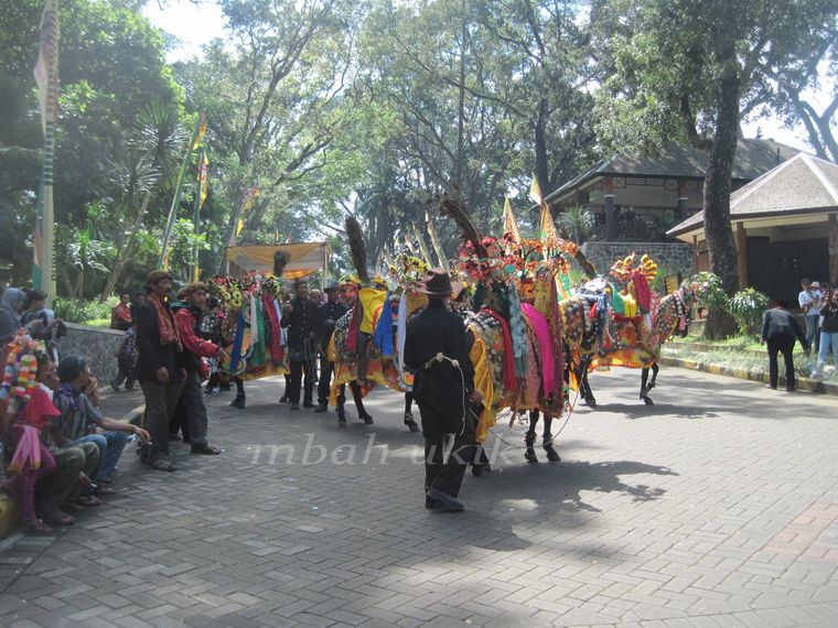 Dokumen pribadi