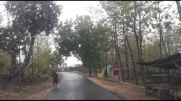 Jalanan sepi beraspal, khas pedesaan. Ada seorang bapak membawa pikulan yang berisi brumbung legen. | Foto: Wahyu Sapta.