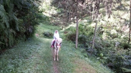 Dokpri/Teteh berani berkuda dan berjalan kaki menyusuri jalan setapak di bukit Sekipan Tawangmangu Karanganyar