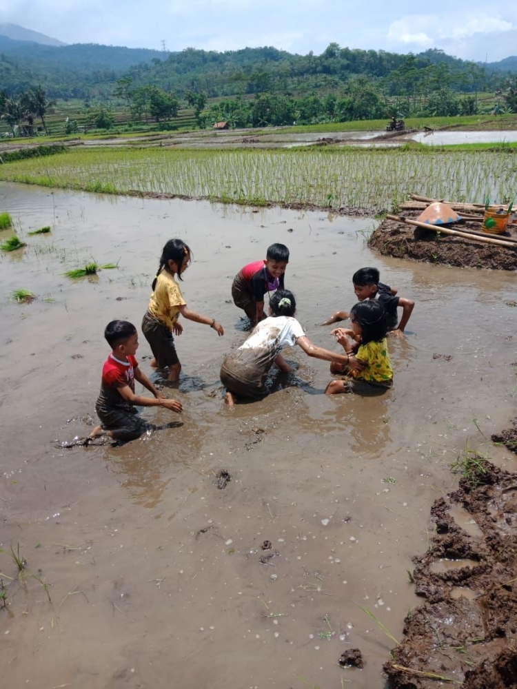Masih Liburan Membantu Pak Tani Menanam Padi dan Mandi di Masih Liburan Membantu Pak Tani Menanam Padi dan Mandi di