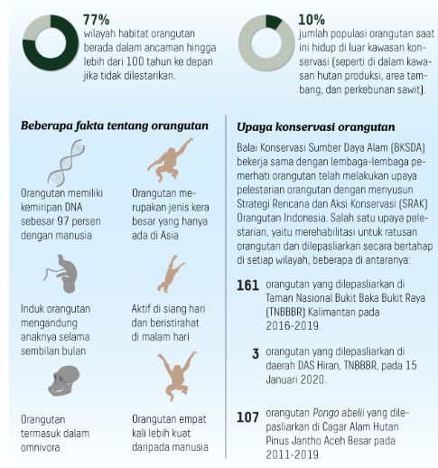 tangyar kompas.id - dokpri