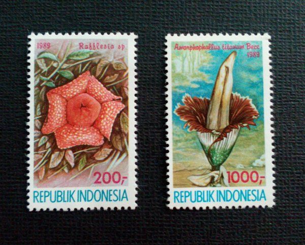Prangko Indonesia ( tribunews.com )