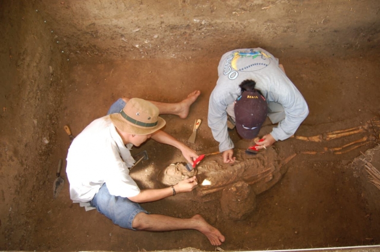 Tim arkeolog Balar Sulut menangani temuan kerangka manusia Oluhuta hasil ekskavasi. Sumber: Balar Sulut
