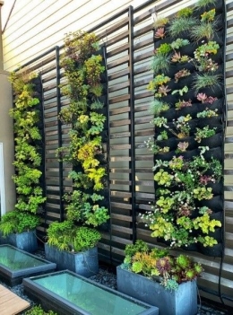 contoh vertical garden sumber: plantedplaces.com