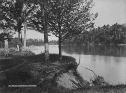 Sungai Wampu pada tahun 1890-an/ COLLECTIE TROPENMUSEUM via id.wikipedia.org